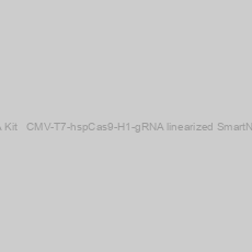 Image of Multiplex gRNA Kit + CMV-T7-hspCas9-H1-gRNA linearized SmartNuclease vector